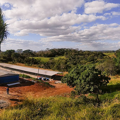 Área rural da Fazenda Batume em Nerópolis